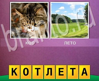 2 фото 1 слово игра ответы, уровень 31: кот, поляна