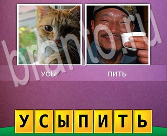 2 фото 1 слово игра ответы, уровень 84: кошка, китаец