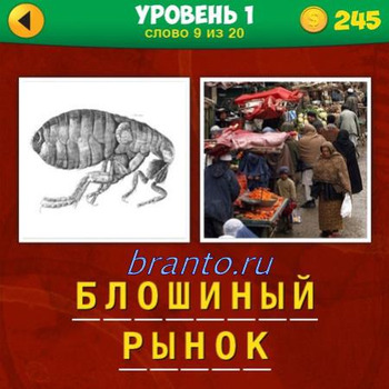 Ответы в игре два фото одна фраза, уровень первый задание №9: насекомое, блоха, рынок