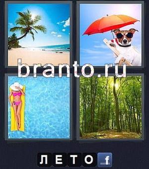 4 фотки 1 слово Word пальма на берегу моря, собака под зонтиком, девушка на матраце, лес
