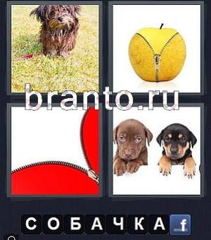 4 фотки 1 слово игра для андроид ответы, уровень 210: собака, желтый мячик, 2 щенка