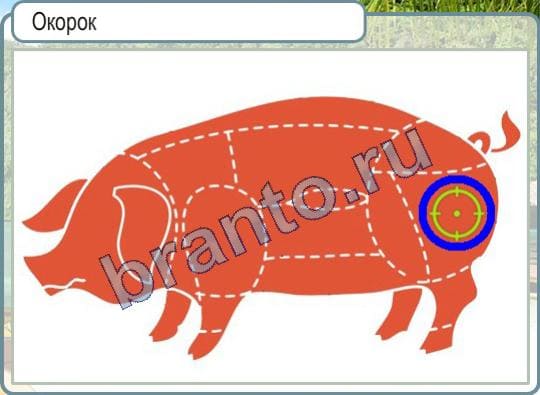 Помощь на игру ВК Горячо-Холодно уровень 4 окорок у свиньи фото