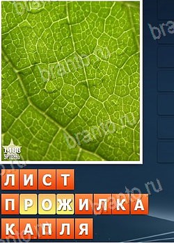 Собираем слова 2 игра відповіді из Одноклассников уровень 1488