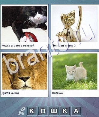 Что за слово игра ответы, уровень 119: кот держит красную мышку, котёнок бежит по траве