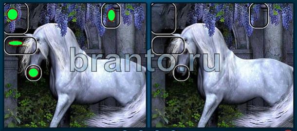 ответы Найдите отличия на двух картинках Уровень 518 голубая лошадь
