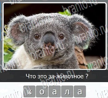 ВКонтакте Игры разума ответ на Уровень 92