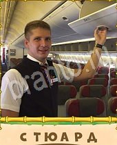 Птица-Говорун ответы на игру 6 букв мужчина стюардесса, самолет