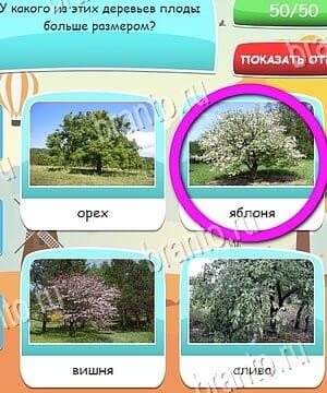 ВКонтакте Угадай, 4 картинки, 4 слова, викторина ответ на уровень 2