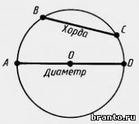 как выглядит хорда