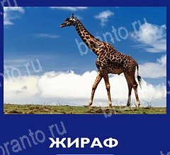 ответы на игру Что это за зверь на телефоне Уровень 31