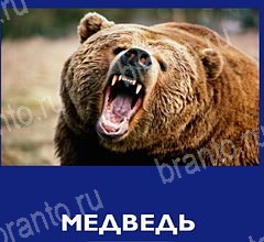 ответы к игре Что это за зверь уровень 36