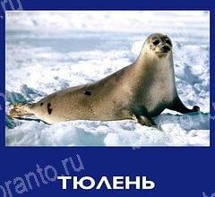 Что это за зверь игра ответы Уровень 44