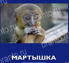 Игра Что это за зверь подсказки андроид Уровень 49