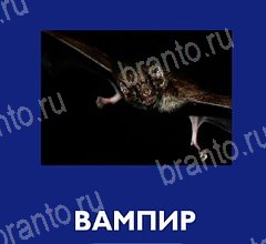 Что это за зверь игра подсказки Уровень 55