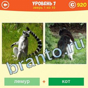 Игра 101 картинка животные уровень 70