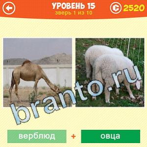 Выбери животное ответы