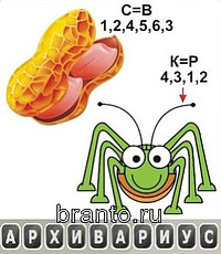 Одним словом (ребусы) ответы