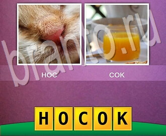Прохождение игры Два фото Одно слово (два в одном) ответы в картинках, уровень 8: нос кота + апельсиновый сок