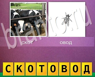 Смотреть ответы на игру 2 фото Одно слово два в одном, уровень 56: коровы, муха