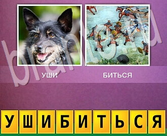 2 фото 1 слово игра ответы, уровень 83: собака, бой