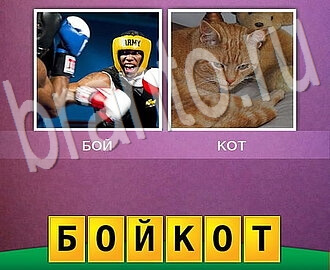 2 фото 1 слово игра ответы, Уровень 143: боксёры и рыжий кот