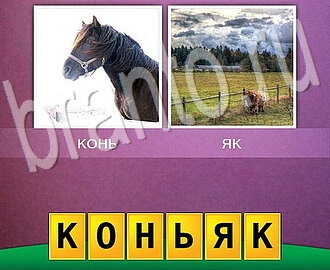 Ответы в игре 2 фото 1 слово два в одном, Уровень 159: лошадь и поле