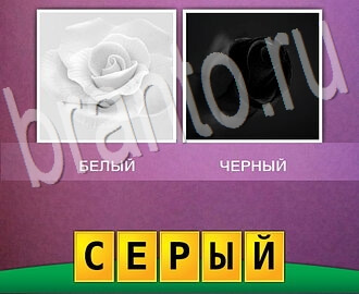 Два фото Одно слово Смесь понятий игра ответы в картинках, 4 уровень: белая роза, черная роза