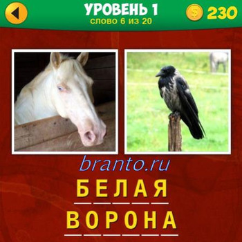 Смотреть ответы на игру 2 фото 1 фраза, уровень : белая лошадь, черная ворона