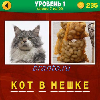 Подсказки 2 фото 1 фраза онлайн, уровень №1 вопрос 7: кот, мешок с картошкой
