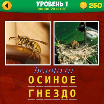 Ответ на 20 вопрос первого уровня игры 2 фото 1 фраза: на картинках изображены оса, пчела, птица с птенчиками