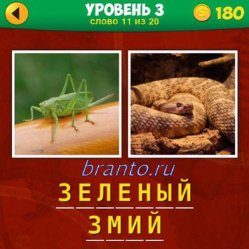 Решение игры 2 фото 1 фраза 1 уровень 31 вопрос: зеленый кузнечик, змея