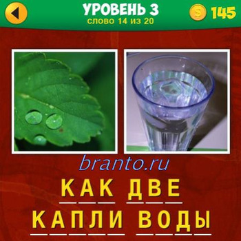 игра 2 фото 1 фраза для андроид ответы, 1 уровень 34 вопрос: зеленый лист, стакан с водой
