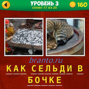 ответы на игру в контакте 2 фото 1 фраза на 1 уровень 37 вопрос: много рыбы в ящике, кот лежит на бочке