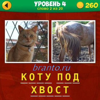 2 фото 1 фраза игра ответы, уровень 4 вопрос №2: кот с ошейником, хвост лошади