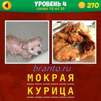 4 фото одно слово ответы, уровень 4 вопрос 19: щенок в воде, курица жаренная