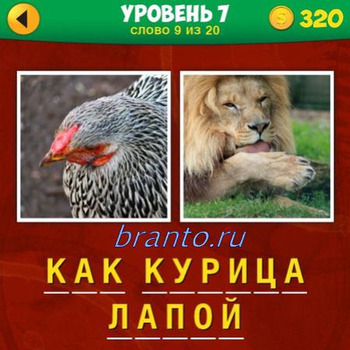 Ответы в игре 4 картинки одно слово, уровень 7 задание 9: курица, лапа льва