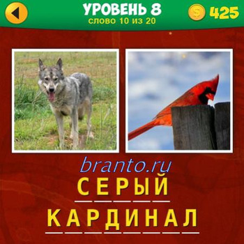 2 фото 1 фраза игра ответы, уровень 8 вопрос 10: собака, оранжевая птица