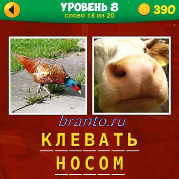 ответы на игру 2 фото 1 фраза, уровень 8 слово 18 из 20: птица, нос коровы