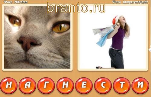 ответы к игре два слова в одном Уровень 312: на фото нос кота, радость