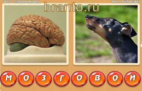 Все ответы к игре 4 фотки 1 слово собраны на нашем сайте, Уровень 319: мозг, вой