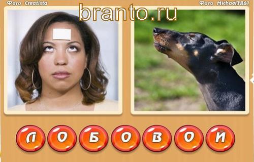 ответы по игре Два слова в одном в ВК, Уровень 322: лоб, вой