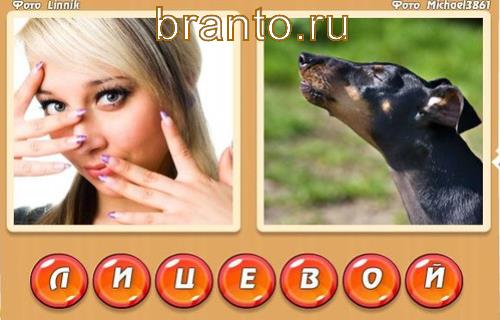 Два слова в одном игра ответы, Уровень 330: лицо, вой