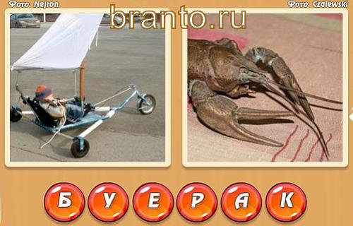 Игра Два фото одно слово прохождение, уровень 349: мальчик катается на машине, краб