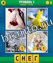 Открой одно фото плюс ответы рябина, желтый цветок, снег, дед мороз