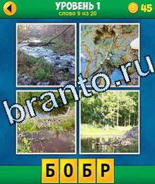 4 фото 1 слово уровень 1 ручей в лесу, след животного в грязи, плотина, озеро или пруд в лесу