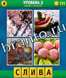 4 Фото 1 Слово игра ответы на 3 уровень розовые цветы, овощи и фрукты