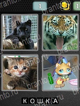 4 Фотки 1 Слово Классика ответы уровень 1 тигр, котенок