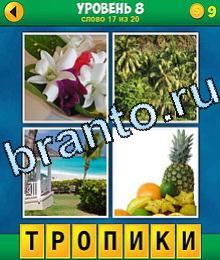 4 Фото 1 Слово игра ответы букет цветов орхидеи, пальмы, дом беседка на берегу моря, фрукты ананас, бананы, апельсин
