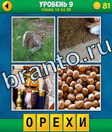 4 Фото 1 Слово игра ответы на 9 уровень белка грызет орех, орехи, щелкунчик, фундук