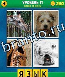4 Фото 1 Слово игра ответы морда жирафа, морда собаки, коричневые ботинки, бульдог